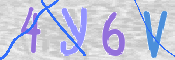 キャプチャ画像内の文字を下の欄にご記入ください。