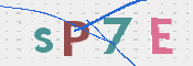キャプチャ画像内の文字を下の欄にご記入ください。